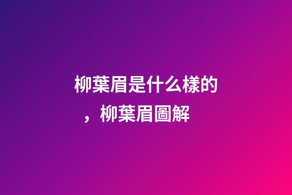 柳葉眉是什么樣的，柳葉眉圖解